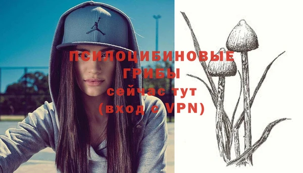 марки nbome Алексин