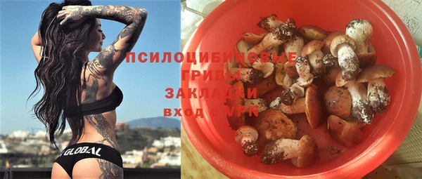 скорость Алзамай