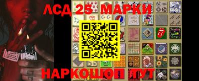 СК Гатчина