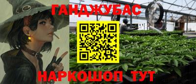 СК Гатчина