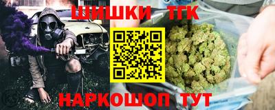СК Гатчина