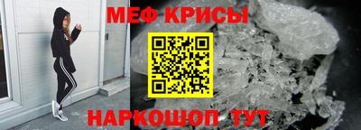 СК Гатчина