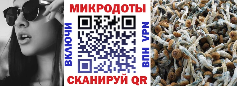 купить закладку  Камень-на-Оби  кракен сайт  Галлюциногенные грибы GOLDEN TEACHER 