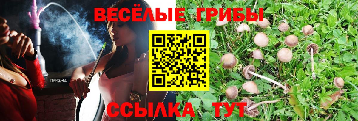Галлюциногенные грибы мицелий  Галлюциногенные грибы Magic Shrooms  Вход с VPN  Камень-на-Оби 